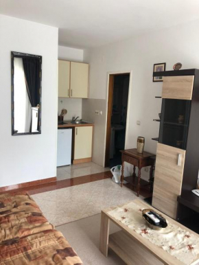 Studio apartman Ceca